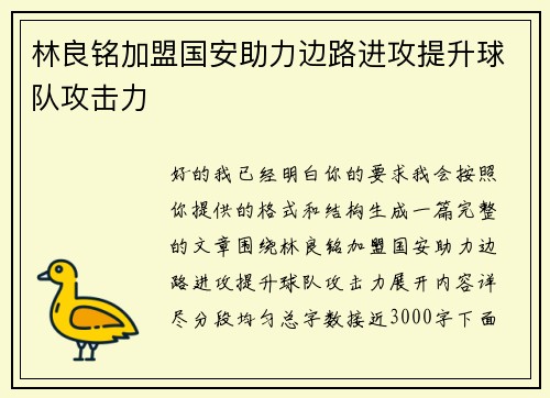 林良铭加盟国安助力边路进攻提升球队攻击力